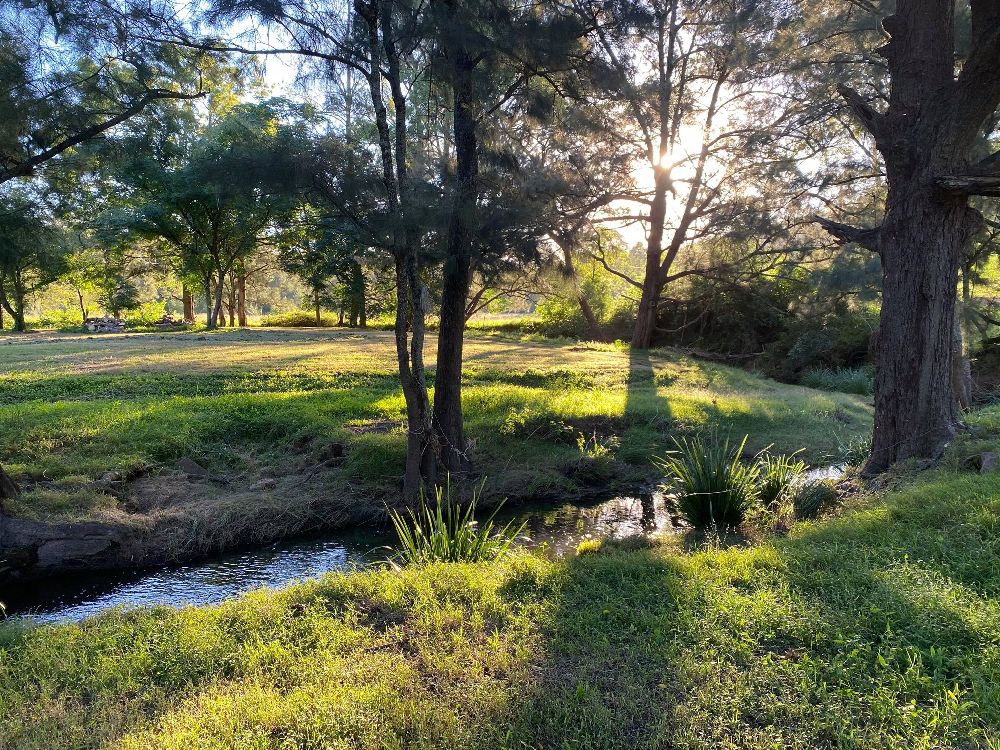 Creekside Campsite